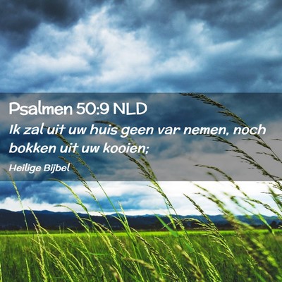 Picture 02 - Psalmen 50:9 NLD - Ik zal uit uw huis geen var nemen, noch bokken - Bible Verse Picture
