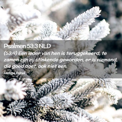 Picture 02 - Psalmen 53:3 NLD - (53:4) Een ieder van hen is teruggekeerd, te - Bible Verse Picture