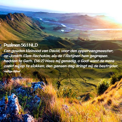 Picture 02 - Psalmen 56:1 NLD - Een gouden kleinood van David, voor den - Bible Verse Picture