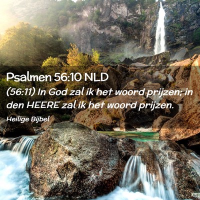 Picture 02 - Psalmen 56:10 NLD - (56:11) In God zal ik het woord prijzen; in den - Bible Verse Picture