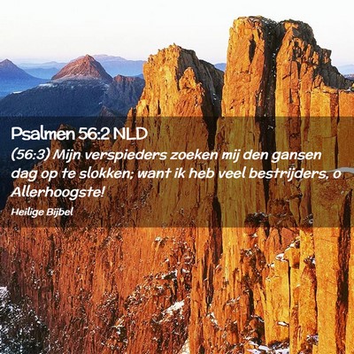 Picture 02 - Psalmen 56:2 NLD - (56:3) Mijn verspieders zoeken mij den gansen dag - Bible Verse Picture
