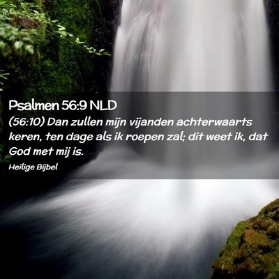 Picture 02 - Psalmen 56:9 NLD - (56:10) Dan zullen mijn vijanden achterwaarts - Bible Verse Picture