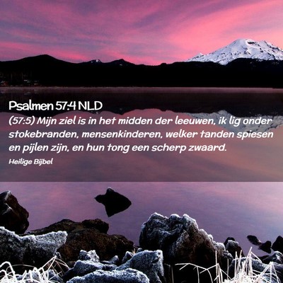 Picture 02 - Psalmen 57:4 NLD - (57:5) Mijn ziel is in het midden der leeuwen, ik - Bible Verse Picture