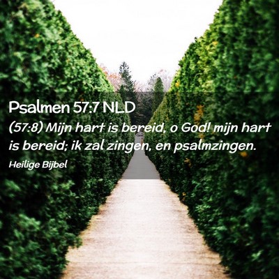 Picture 02 - Psalmen 57:7 NLD - (57:8) Mijn hart is bereid, o God! mijn hart is - Bible Verse Picture
