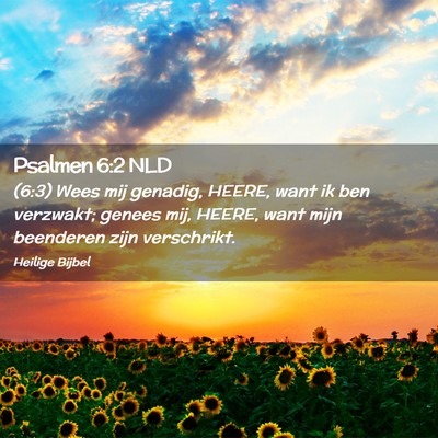 Picture 02 - Psalmen 6:2 NLD - (6:3) Wees mij genadig, HEERE, want ik ben - Bible Verse Picture