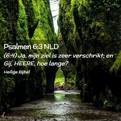 Picture 02 - Psalmen 6:3 NLD - (6:4) Ja, mijn ziel is zeer verschrikt; en Gij, - Bible Verse Picture