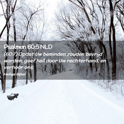 Picture 02 - Psalmen 60:5 NLD - (60:7) Opdat Uw beminden zouden bevrijd worden; - Bible Verse Picture