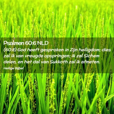 Picture 02 - Psalmen 60:6 NLD - (60:8) God heeft gesproken in Zijn heiligdom; - Bible Verse Picture