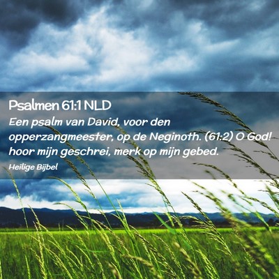 Picture 02 - Psalmen 61:1 NLD - Een psalm van David, voor den opperzangmeester, - Bible Verse Picture