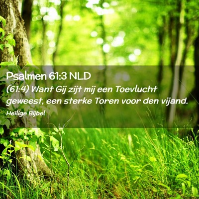 Picture 02 - Psalmen 61:3 NLD - (61:4) Want Gij zijt mij een Toevlucht geweest, - Bible Verse Picture