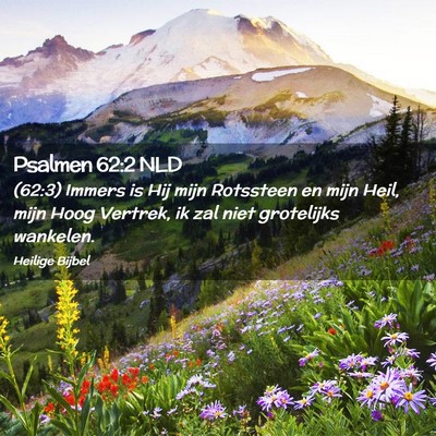 Picture 02 - Psalmen 62:2 NLD - (62:3) Immers is Hij mijn Rotssteen en mijn Heil, - Bible Verse Picture
