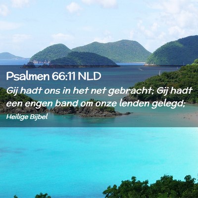 Picture 02 - Psalmen 66:11 NLD - Gij hadt ons in het net gebracht; Gij hadt een - Bible Verse Picture