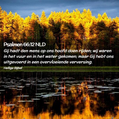 Picture 02 - Psalmen 66:12 NLD - Gij hadt den mens op ons hoofd doen rijden; wij - Bible Verse Picture