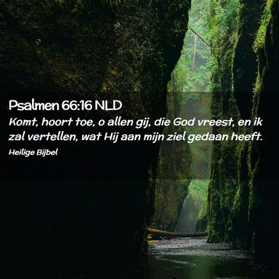 Picture 02 - Psalmen 66:16 NLD - Komt, hoort toe, o allen gij, die God vreest, en - Bible Verse Picture