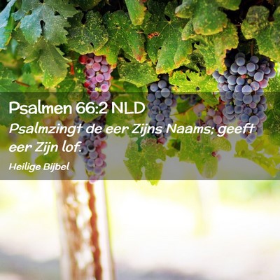 Picture 02 - Psalmen 66:2 NLD - Psalmzingt de eer Zijns Naams; geeft eer Zijn - Bible Verse Picture
