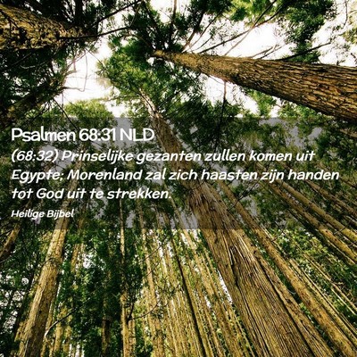 Picture 02 - Psalmen 68:31 NLD - (68:32) Prinselijke gezanten zullen komen uit - Bible Verse Picture