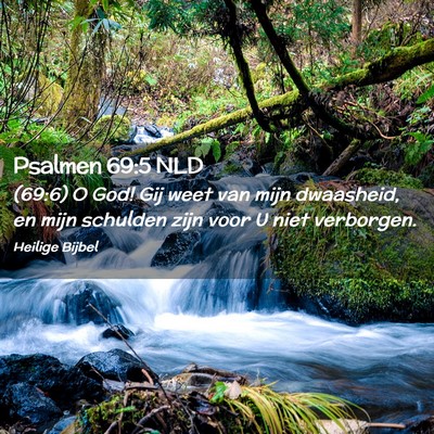 Picture 02 - Psalmen 69:5 NLD - (69:6) O God! Gij weet van mijn dwaasheid, en - Bible Verse Picture