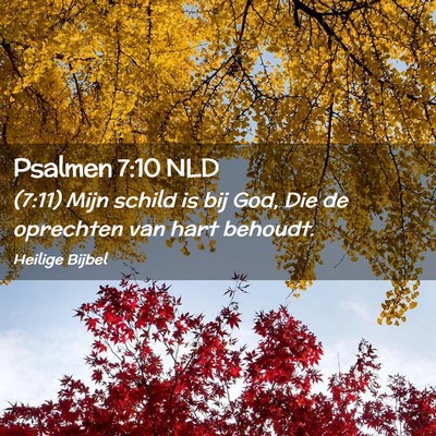 Picture 02 - Psalmen 7:10 NLD - (7:11) Mijn schild is bij God, Die de oprechten - Bible Verse Picture