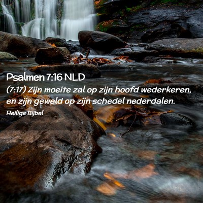 Picture 02 - Psalmen 7:16 NLD - (7:17) Zijn moeite zal op zijn hoofd wederkeren, - Bible Verse Picture