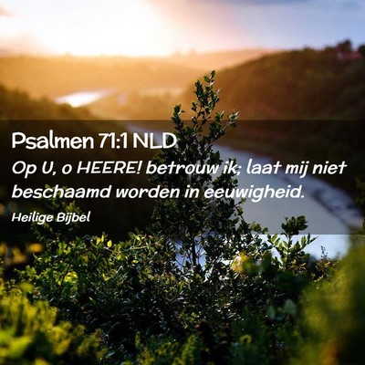 Picture 02 - Psalmen 71:1 NLD - Op U, o HEERE! betrouw ik; laat mij niet - Bible Verse Picture