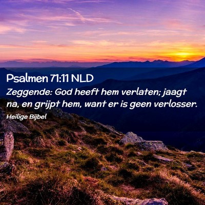 Picture 02 - Psalmen 71:11 NLD - Zeggende: God heeft hem verlaten; jaagt na, en - Bible Verse Picture