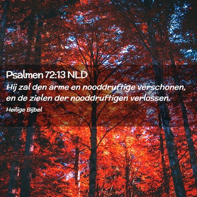 Picture 02 - Psalmen 72:13 NLD - Hij zal den arme en nooddruftige verschonen, en - Bible Verse Picture