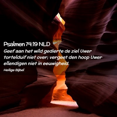 Picture 02 - Psalmen 74:19 NLD - Geef aan het wild gedierte de ziel Uwer - Bible Verse Picture