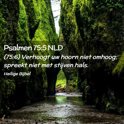 Picture 02 - Psalmen 75:5 NLD - (75:6) Verhoogt uw hoorn niet omhoog; spreekt - Bible Verse Picture