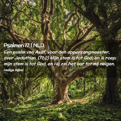 Picture 02 - Psalmen 77:1 NLD - Een psalm van Asaf, voor den opperzangmeester, - Bible Verse Picture