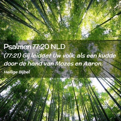 Picture 02 - Psalmen 77:20 NLD - (77:21) Gij leiddet Uw volk, als een kudde door - Bible Verse Picture