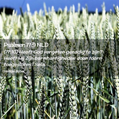 Picture 02 - Psalmen 77:9 NLD - (77:10) Heeft God vergeten genadig te zijn? Heeft - Bible Verse Picture