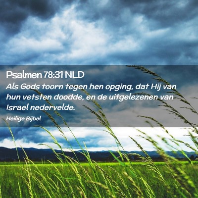 Picture 02 - Psalmen 78:31 NLD - Als Gods toorn tegen hen opging, dat Hij van hun - Bible Verse Picture