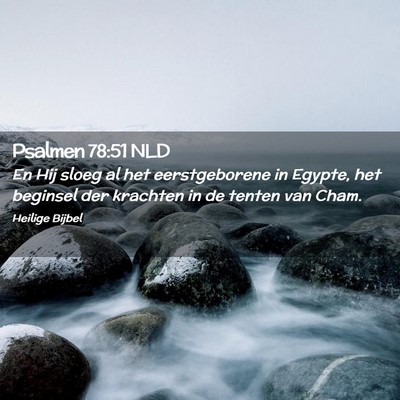 Picture 02 - Psalmen 78:51 NLD - En Hij sloeg al het eerstgeborene in Egypte, het - Bible Verse Picture