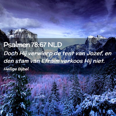 Picture 02 - Psalmen 78:67 NLD - Doch Hij verwierp de tent van Jozef, en den stam - Bible Verse Picture