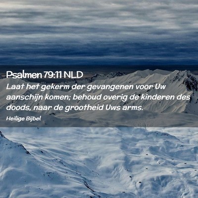 Picture 02 - Psalmen 79:11 NLD - Laat het gekerm der gevangenen voor Uw aanschijn - Bible Verse Picture