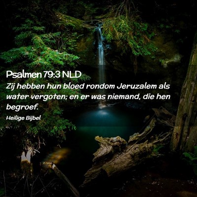 Picture 02 - Psalmen 79:3 NLD - Zij hebben hun bloed rondom Jeruzalem als water - Bible Verse Picture