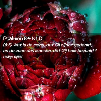 Picture 02 - Psalmen 8:4 NLD - (8:5) Wat is de mens, dat Gij zijner gedenkt, en - Bible Verse Picture