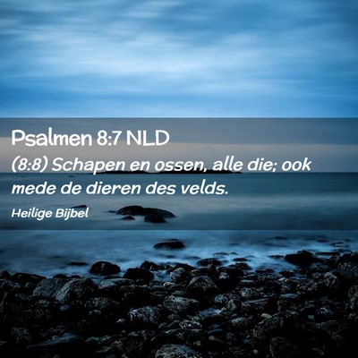 Picture 02 - Psalmen 8:7 NLD - (8:8) Schapen en ossen, alle die; ook mede de - Bible Verse Picture