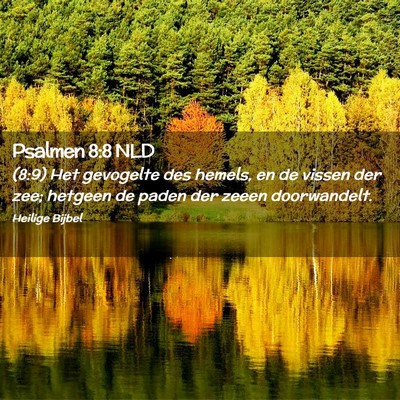Picture 02 - Psalmen 8:8 NLD - (8:9) Het gevogelte des hemels, en de vissen der - Bible Verse Picture