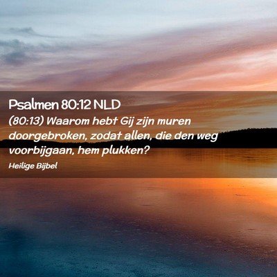 Picture 02 - Psalmen 80:12 NLD - (80:13) Waarom hebt Gij zijn muren doorgebroken, - Bible Verse Picture