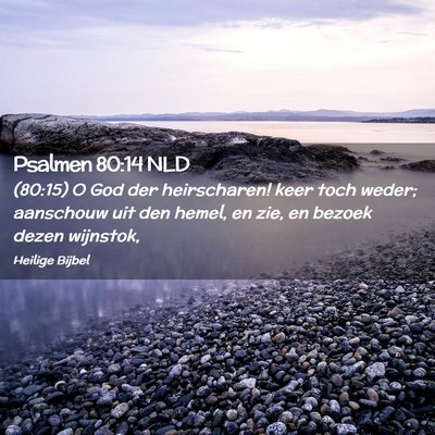 Picture 02 - Psalmen 80:14 NLD - (80:15) O God der heirscharen! keer toch weder; - Bible Verse Picture