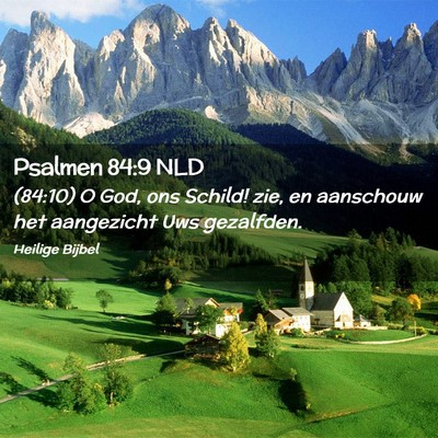 Picture 02 - Psalmen 84:9 NLD - (84:10) O God, ons Schild! zie, en aanschouw het - Bible Verse Picture