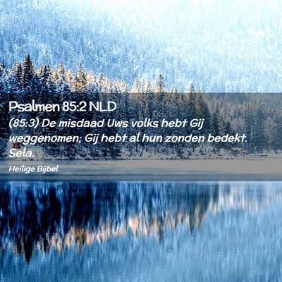 Picture 02 - Psalmen 85:2 NLD - (85:3) De misdaad Uws volks hebt Gij weggenomen; - Bible Verse Picture