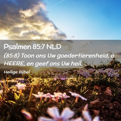 Picture 02 - Psalmen 85:7 NLD - (85:8) Toon ons Uw goedertierenheid, o HEERE, en - Bible Verse Picture