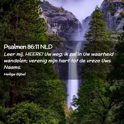 Picture 02 - Psalmen 86:11 NLD - Leer mij, HEERE! Uw weg; ik zal in Uw waarheid - Bible Verse Picture