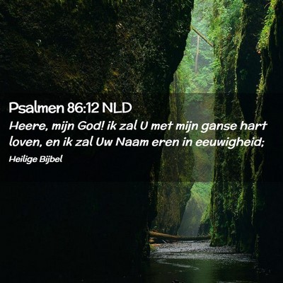 Picture 02 - Psalmen 86:12 NLD - Heere, mijn God! ik zal U met mijn ganse hart - Bible Verse Picture