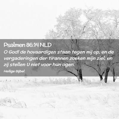 Picture 02 - Psalmen 86:14 NLD - O God! de hovaardigen staan tegen mij op, en de - Bible Verse Picture