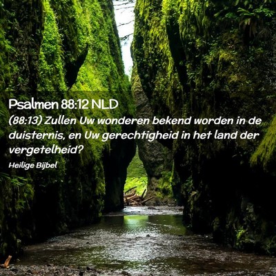 Picture 02 - Psalmen 88:12 NLD - (88:13) Zullen Uw wonderen bekend worden in de - Bible Verse Picture