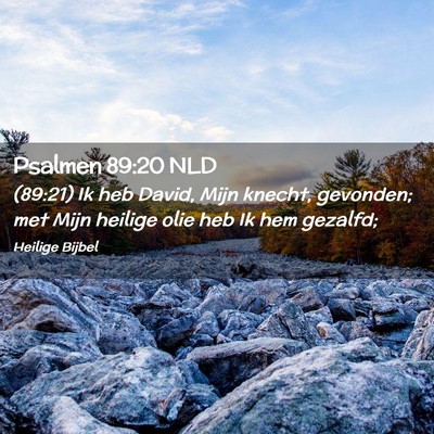 Picture 02 - Psalmen 89:20 NLD - (89:21) Ik heb David, Mijn knecht, gevonden; met - Bible Verse Picture