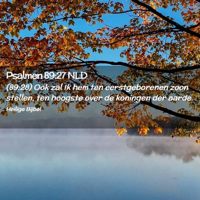 Picture 02 - Psalmen 89:27 NLD - (89:28) Ook zal Ik hem ten eerstgeborenen zoon - Bible Verse Picture